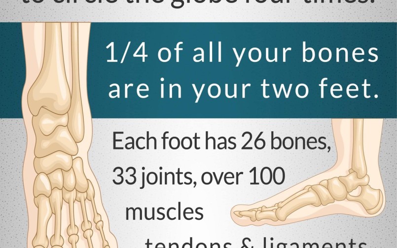 feet facts
